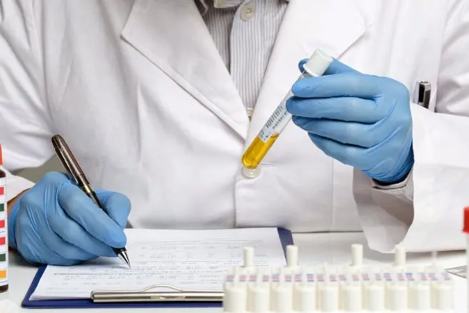What is RTV Silicone? – Complete Guide
