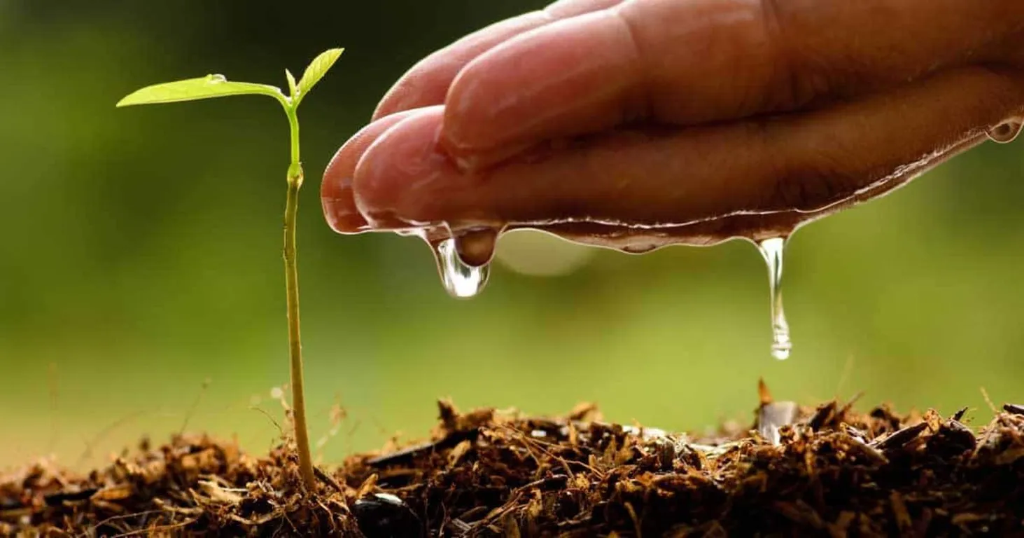 Agriculture chemicals